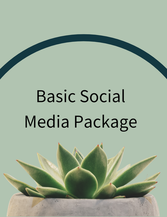 Standard Social Media Package