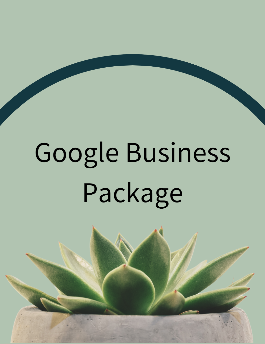 Google Verified and Screened Package