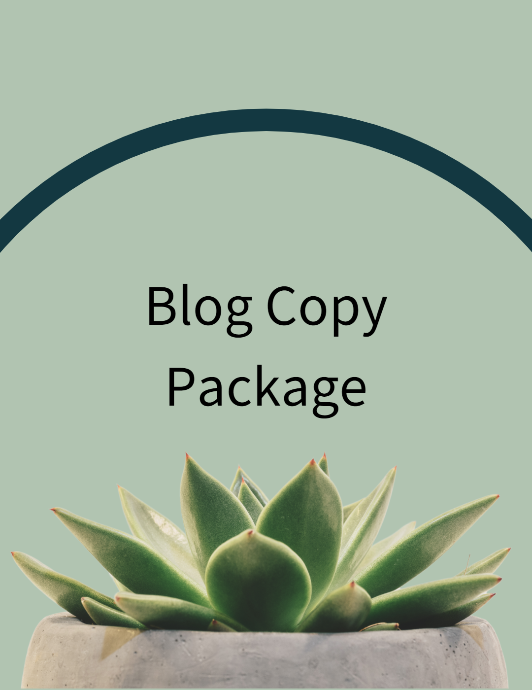 Blog Copy Package