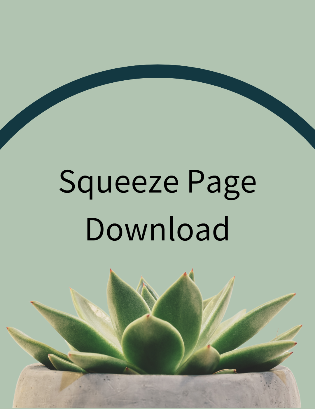 Squeeze Page Download